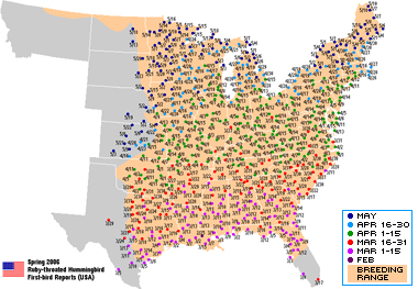 Map of the Eastern United States showing hummingbirds' northern migration from the south (Florida to Texas) in March to the north (from North Dakota to Maine) in May.